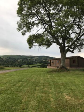 Redwood Lodge Ludlow Dış mekan fotoğraf